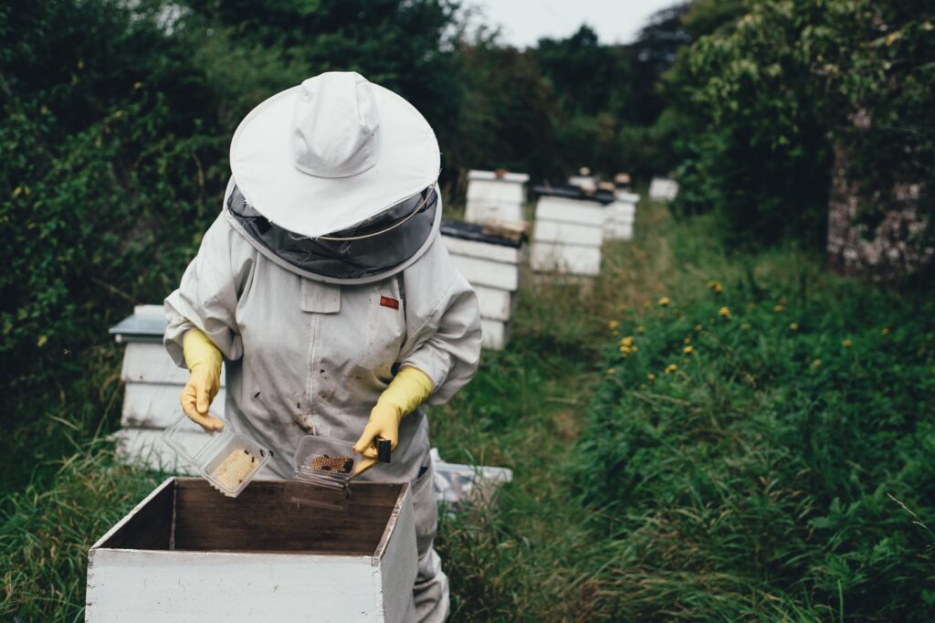  Bee Saving Paper : la carta che salva la vita alle api. 