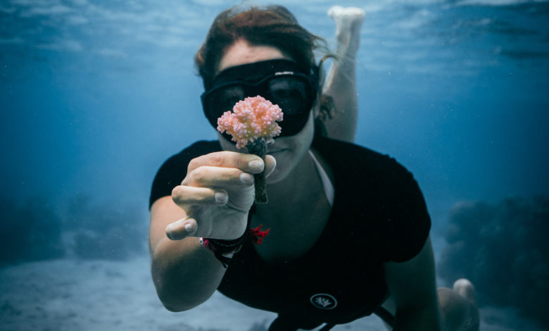 Coral Gardeners: come salvare la barriera corallina