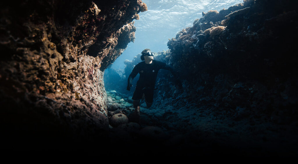 Coral Gardeners: come salvare la barriera corallina
