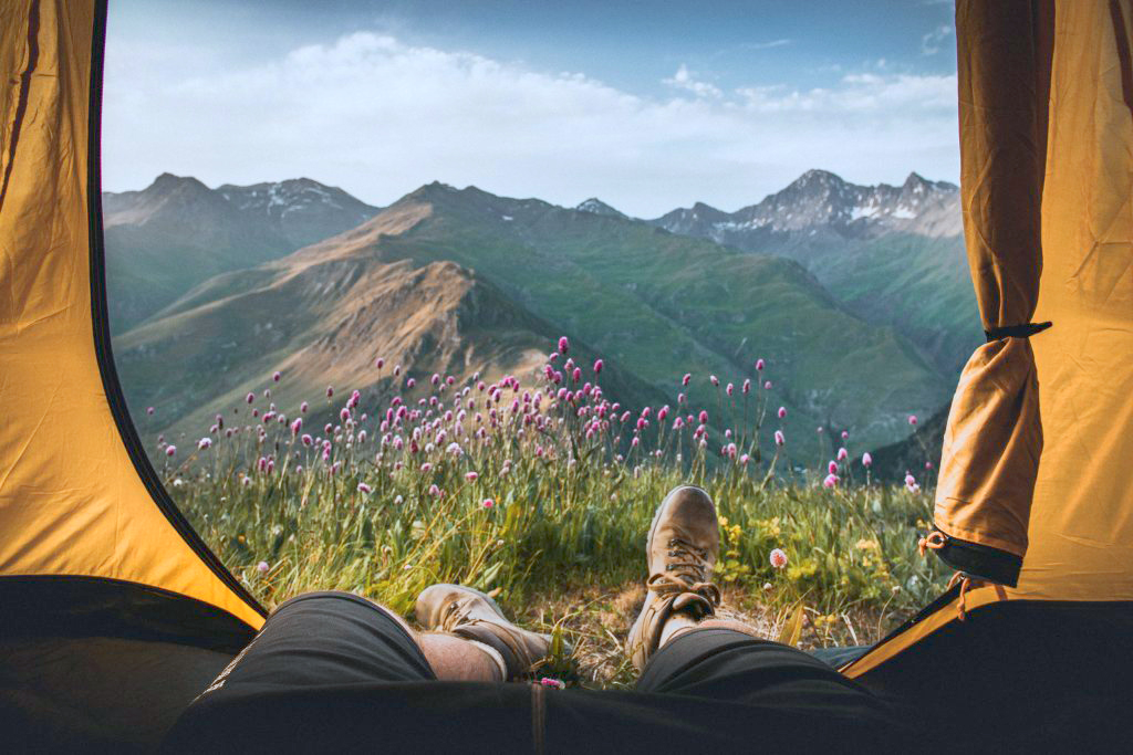 Mountain landscape from inside a yellow tent. There is grass and purple flowers.