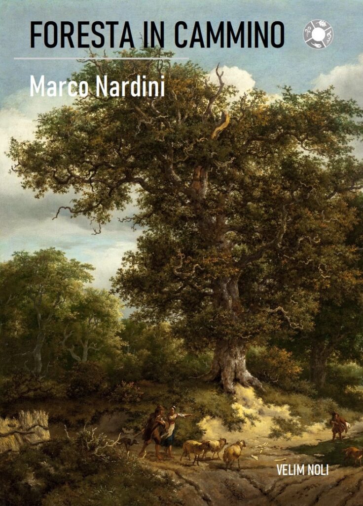 Foresta in cammino by Marco Nardini
