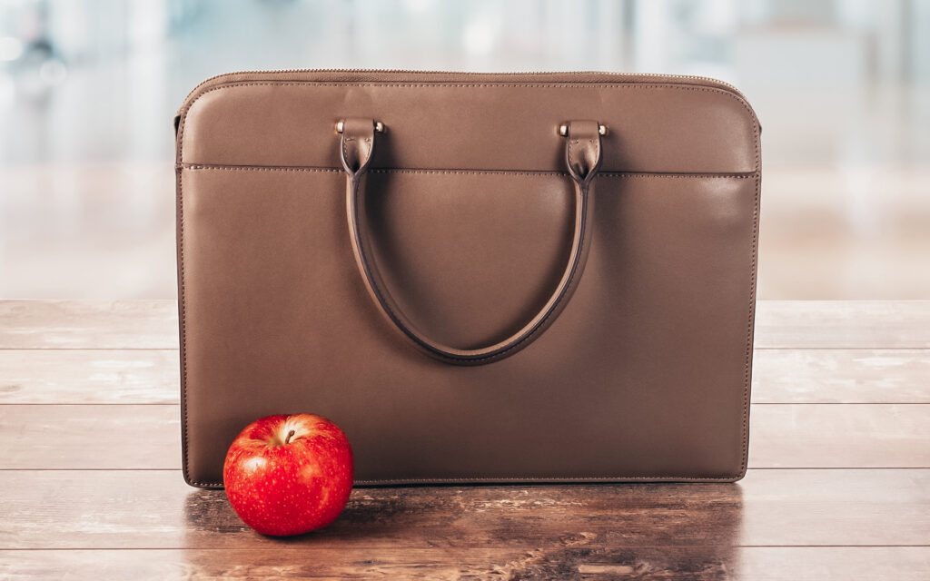 Apple leather bag