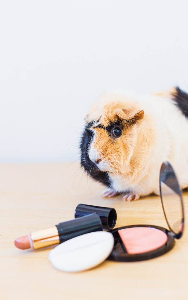 Makeup and animals