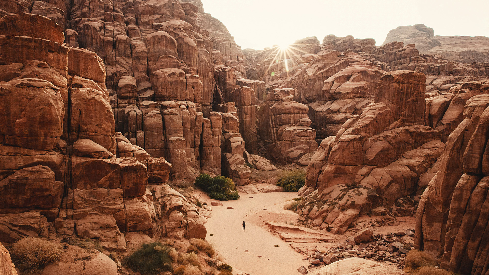Hisma Desert – NEOM, Saudi Arabia