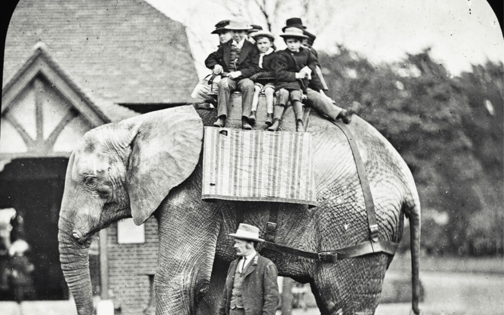 Grupo de niños montando un elefante.