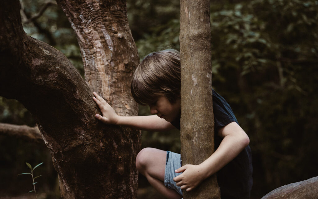 niño esacala un arbol