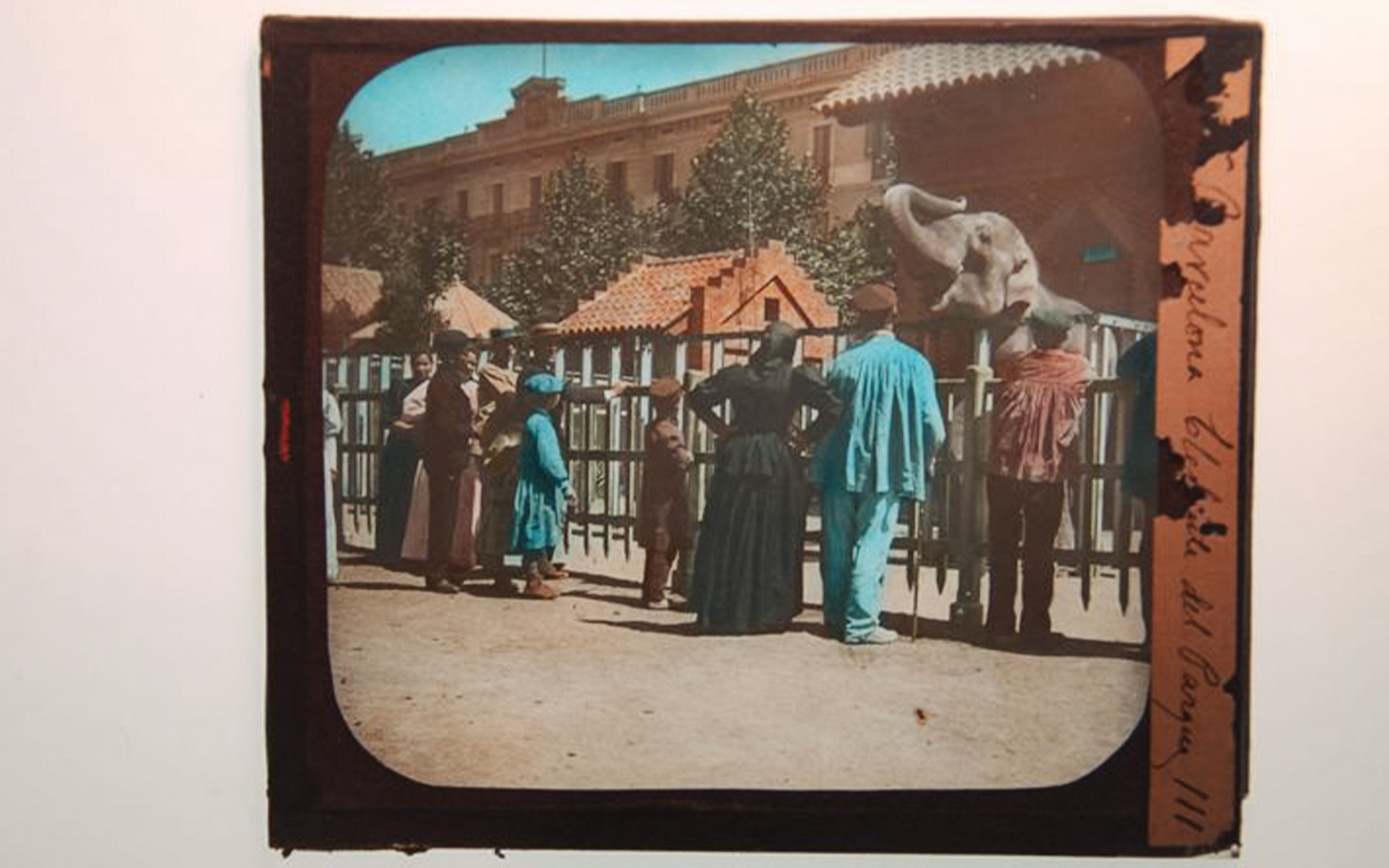 Personas mirando un elefante en zoológico de Barcelona.