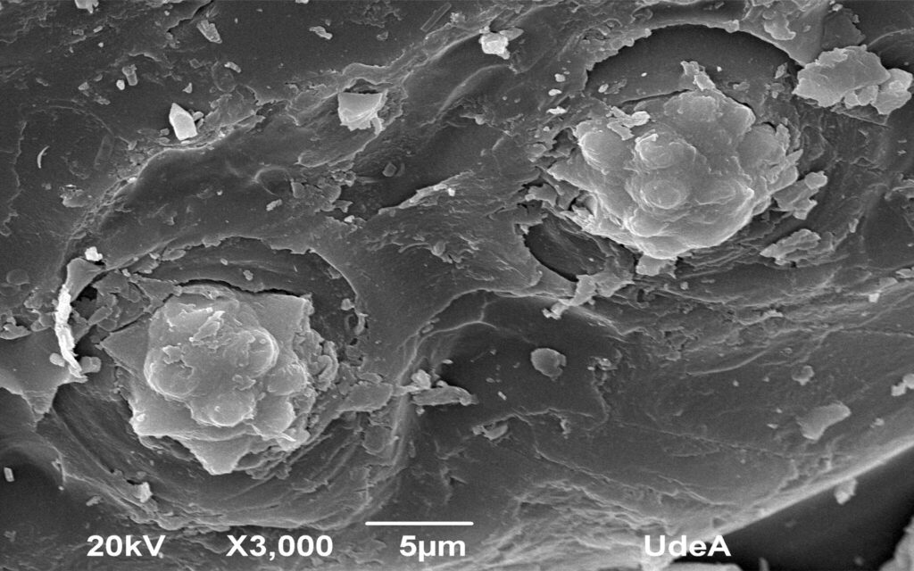 Fibra de coco, imagen obtenido a través del microscopio de nano partículas.